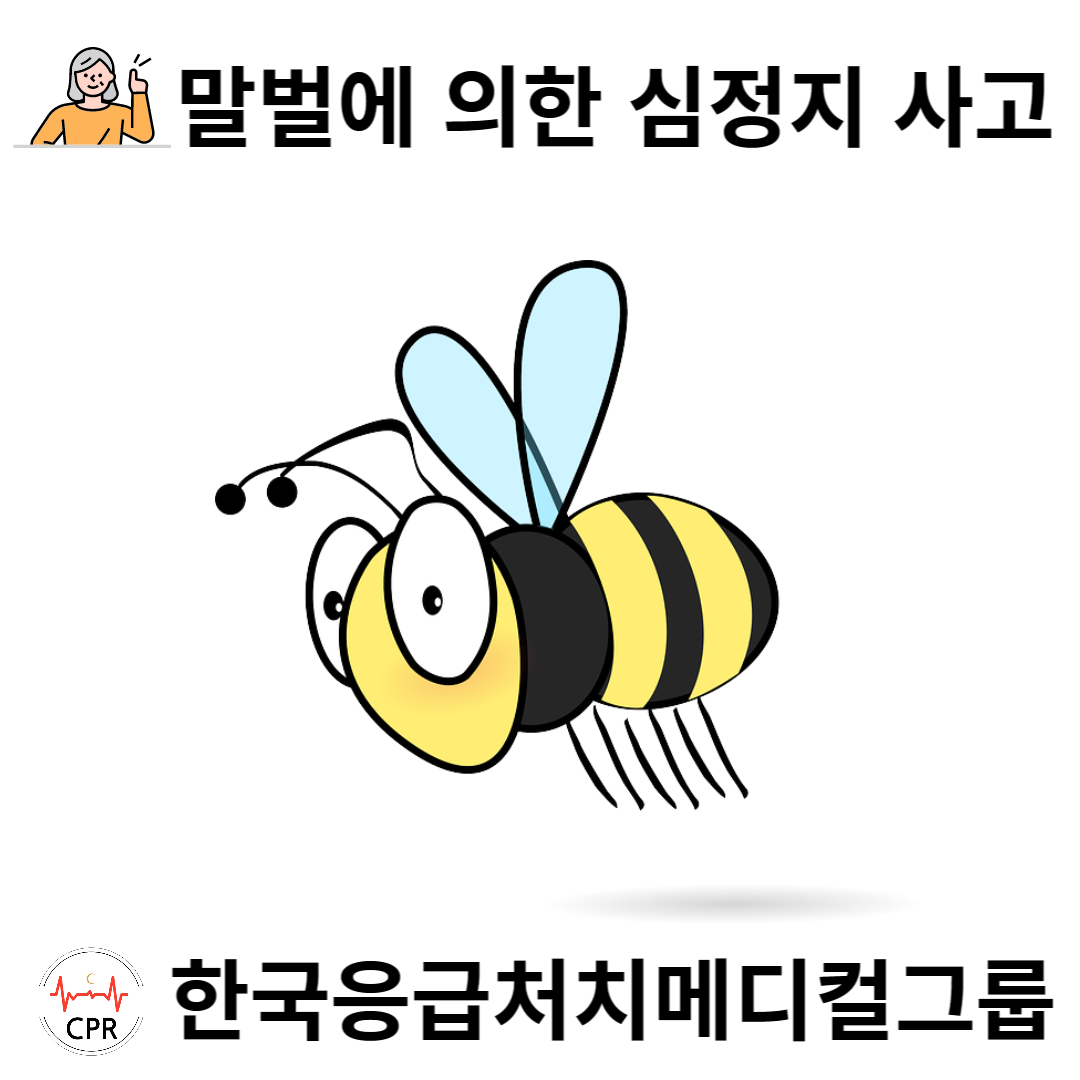 041a1dfe061d4.jpg