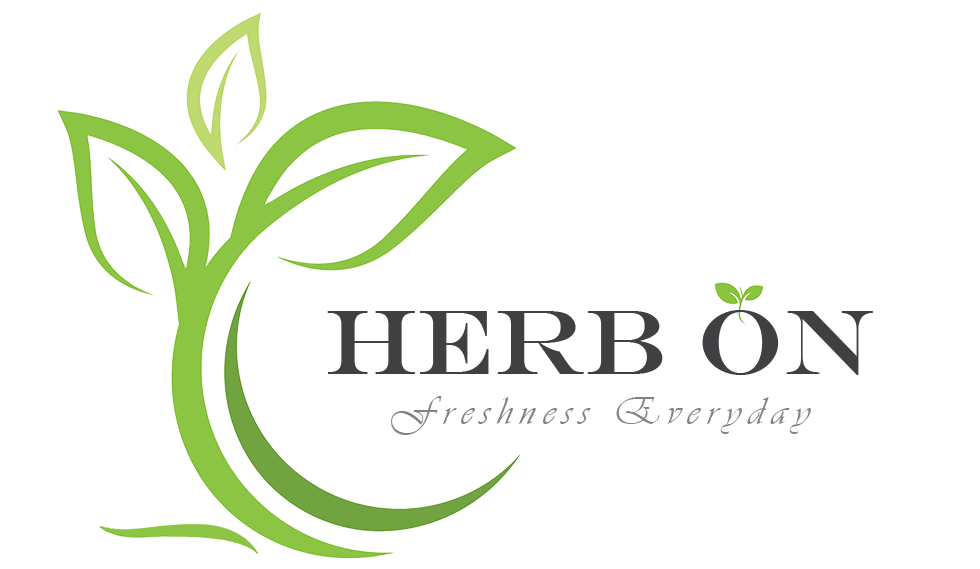 허브온 채소 전문쇼핑몰 HerbOn