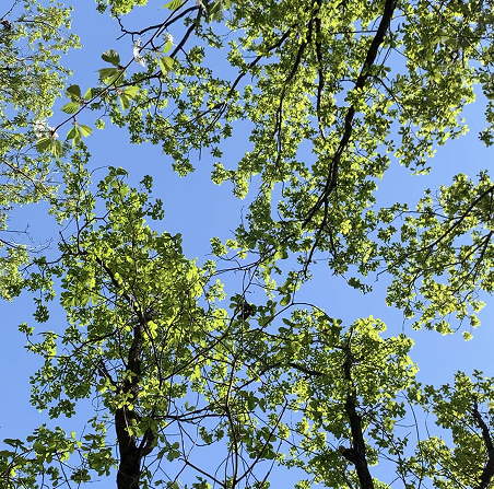 399a5790af089.jpg