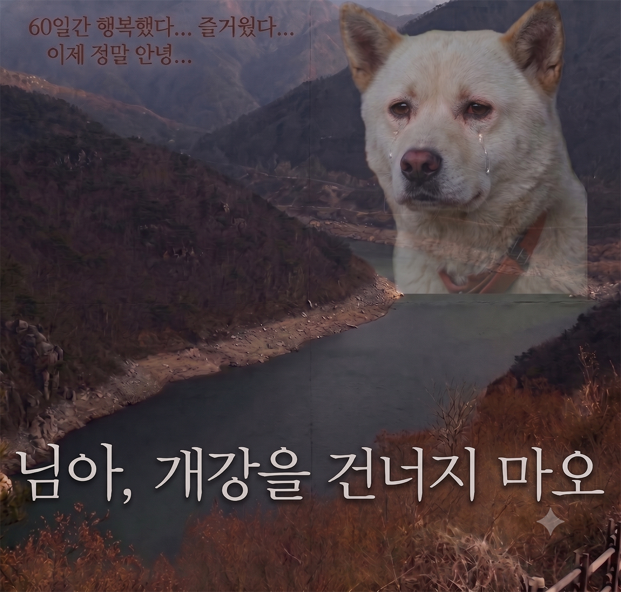 518daa0082973.png