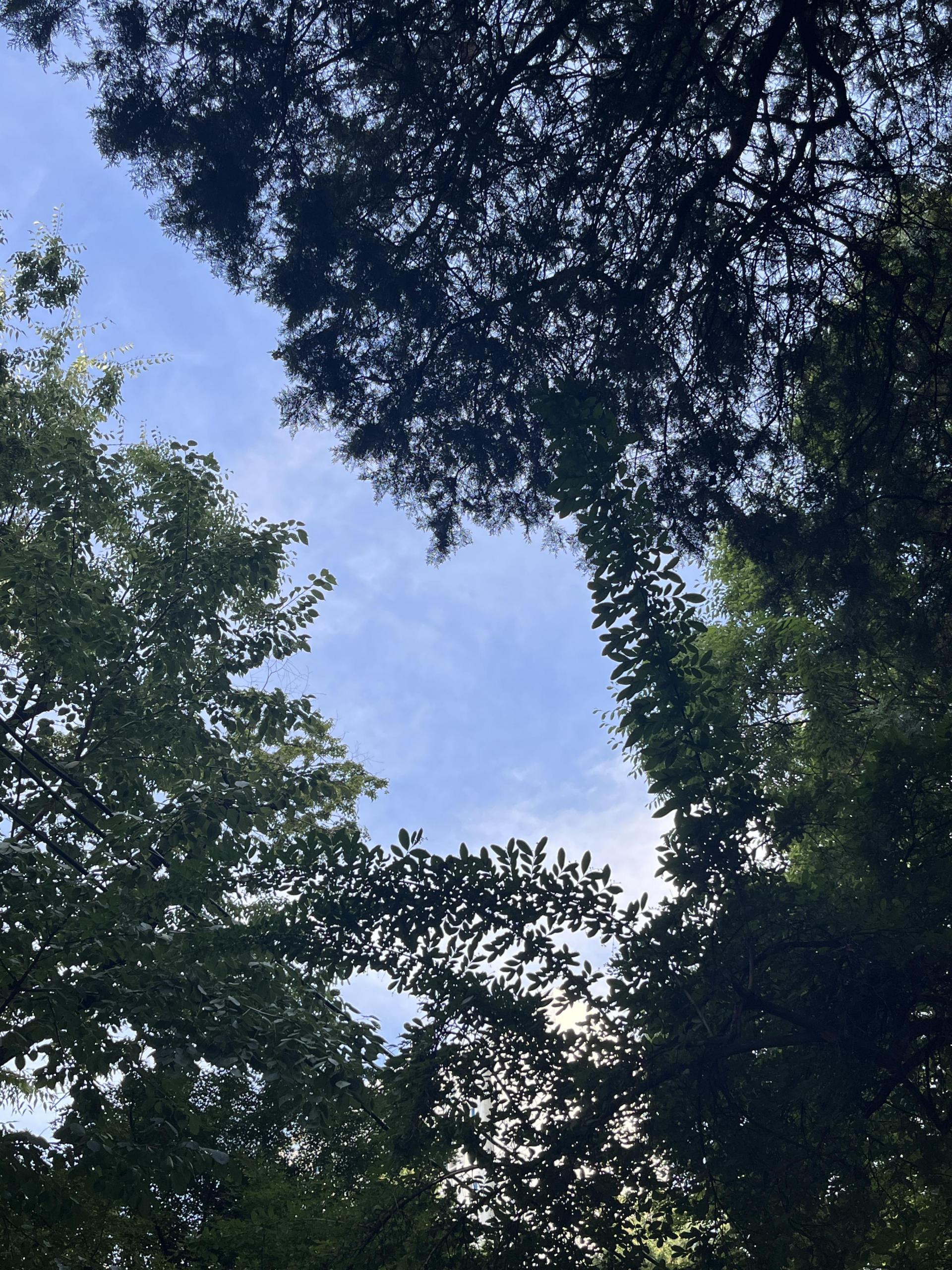 54665b0161178.jpg