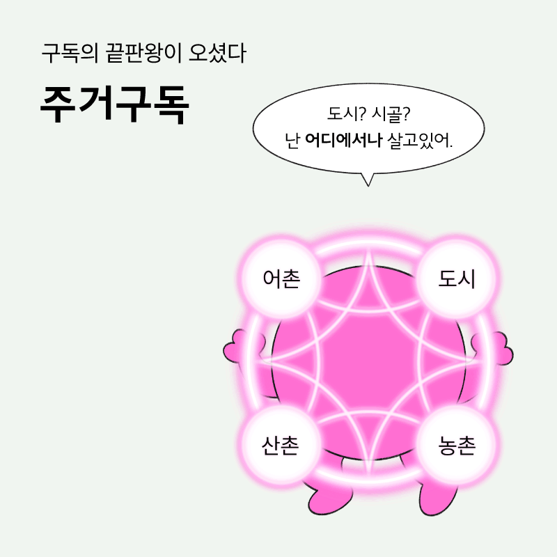 70b6b7c2a8988.gif