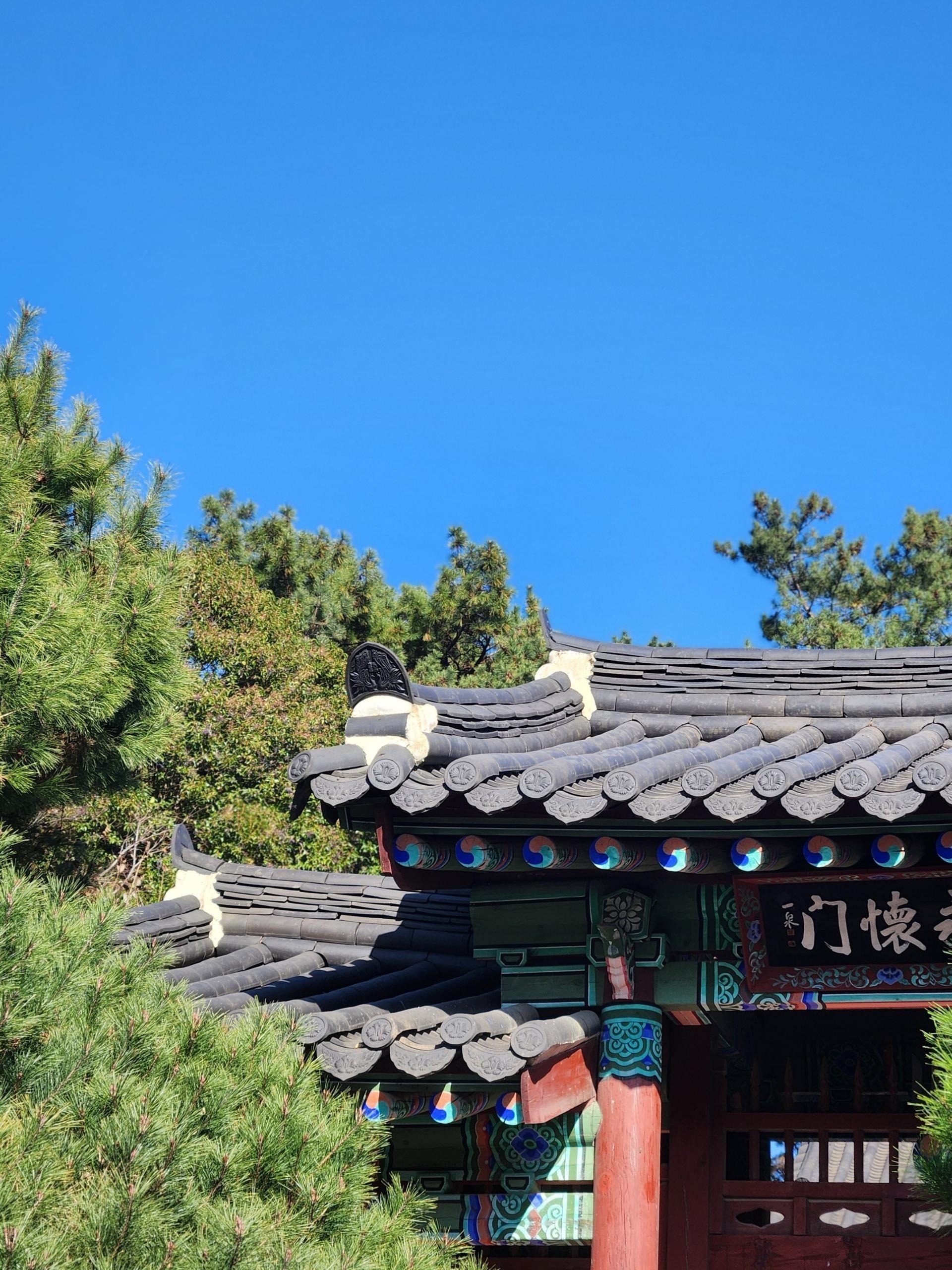 새로운 로컬에서 뿌리내린 일상의 순간들 ⓒ쇼기