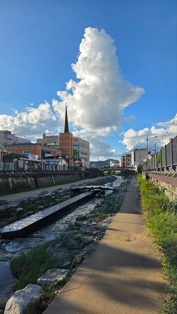bd8b38b130f45.jpg