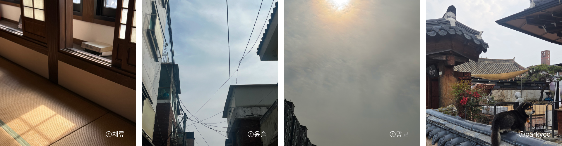 c687baf33feac.png