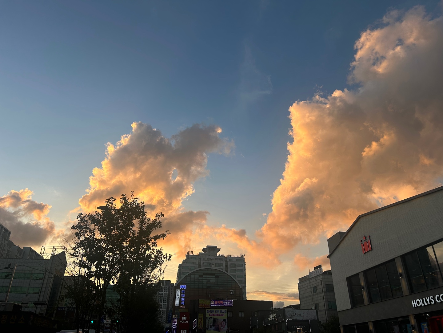 c7d87bbceaeca.jpg