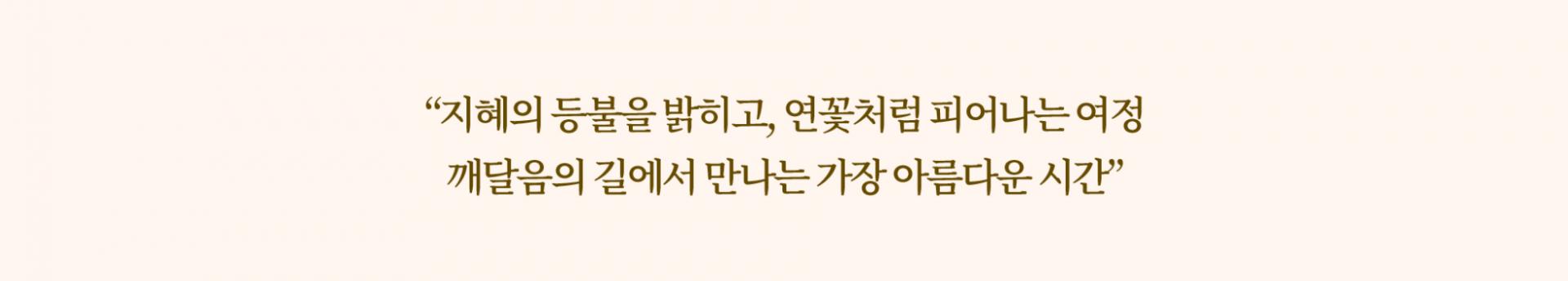 [소풍패키지] 대연스님과 함께하는 인도 불교석굴-불탑 순례 12일