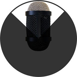 Lauten Audio LS-308