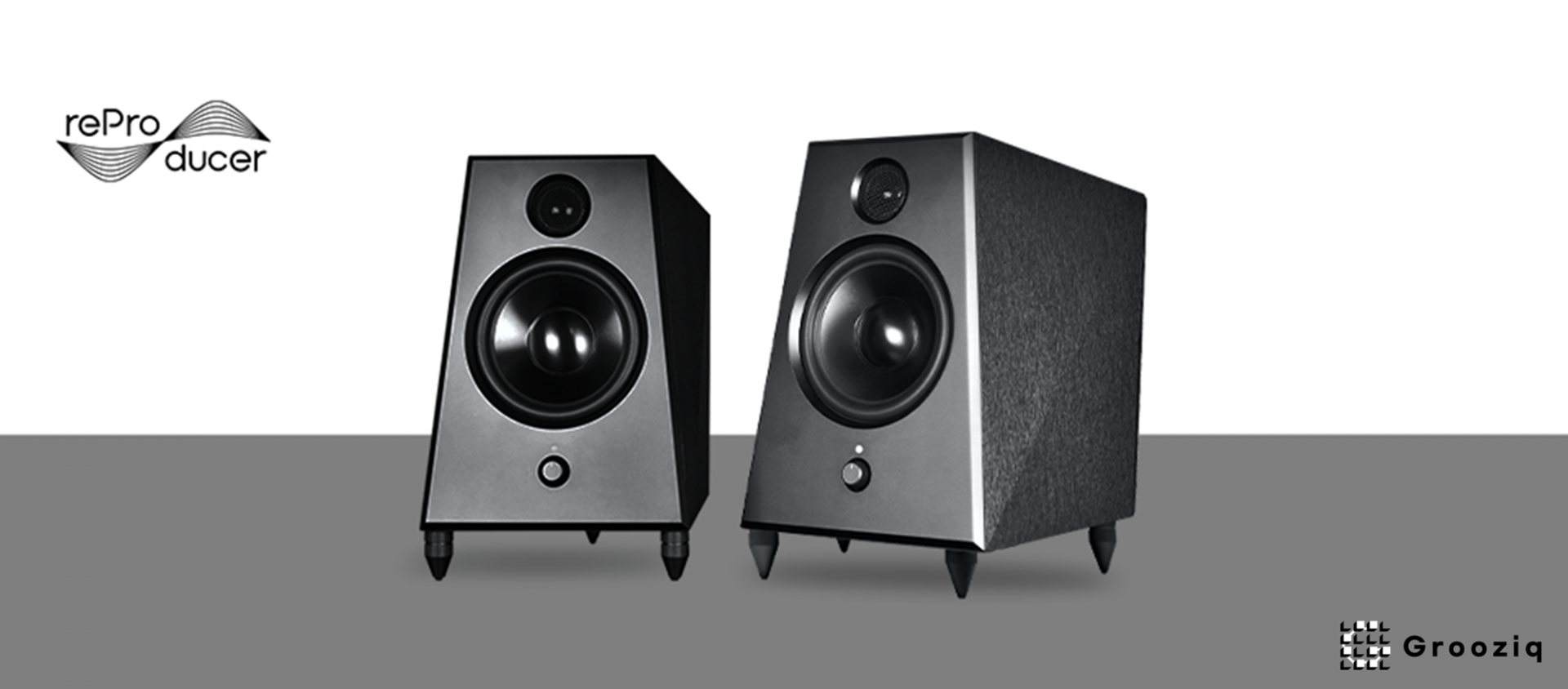 reProducer Epic 5 (Pair)