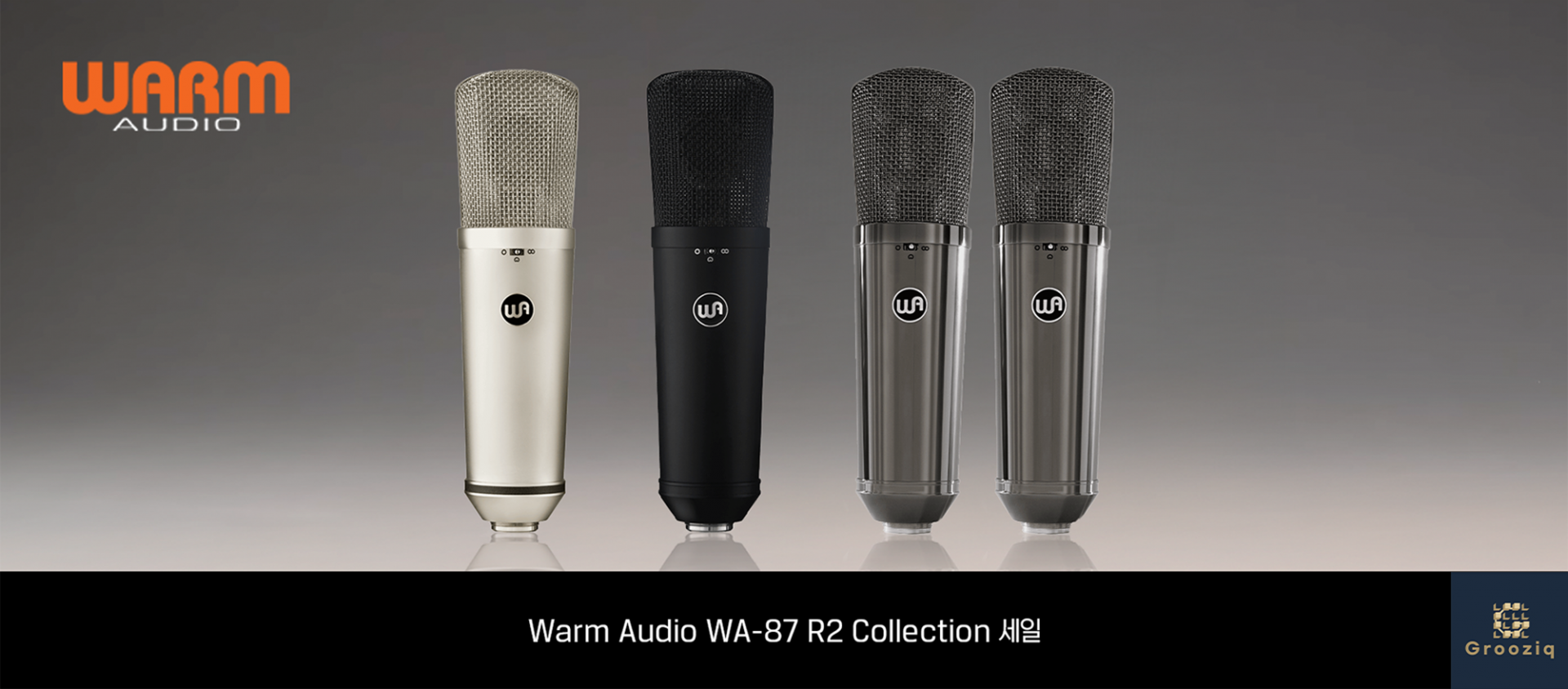 Warm Audio WA-87 R2 TS Titanium Stereo Pair