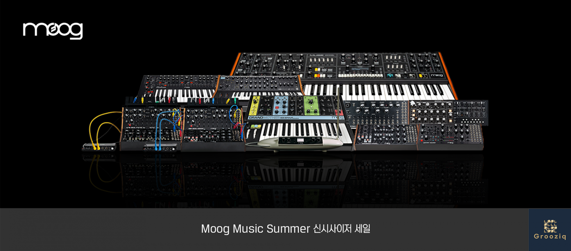 Moog Music Minitaur Rev 2