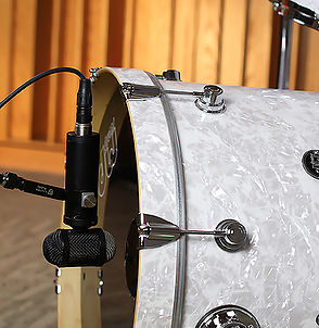 Lauten Audio LS-308