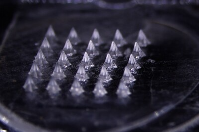 A magnified view (6.7×) of the microneedle patch developed by Daewoong Therapeutics