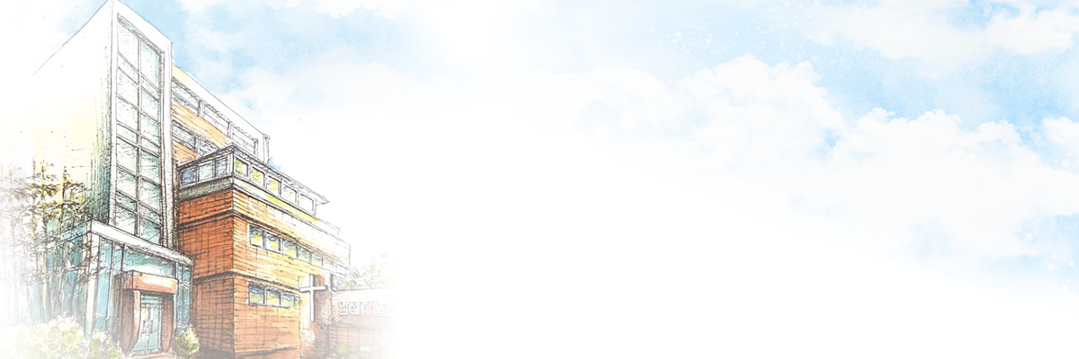 bd17c33fed2b7.png