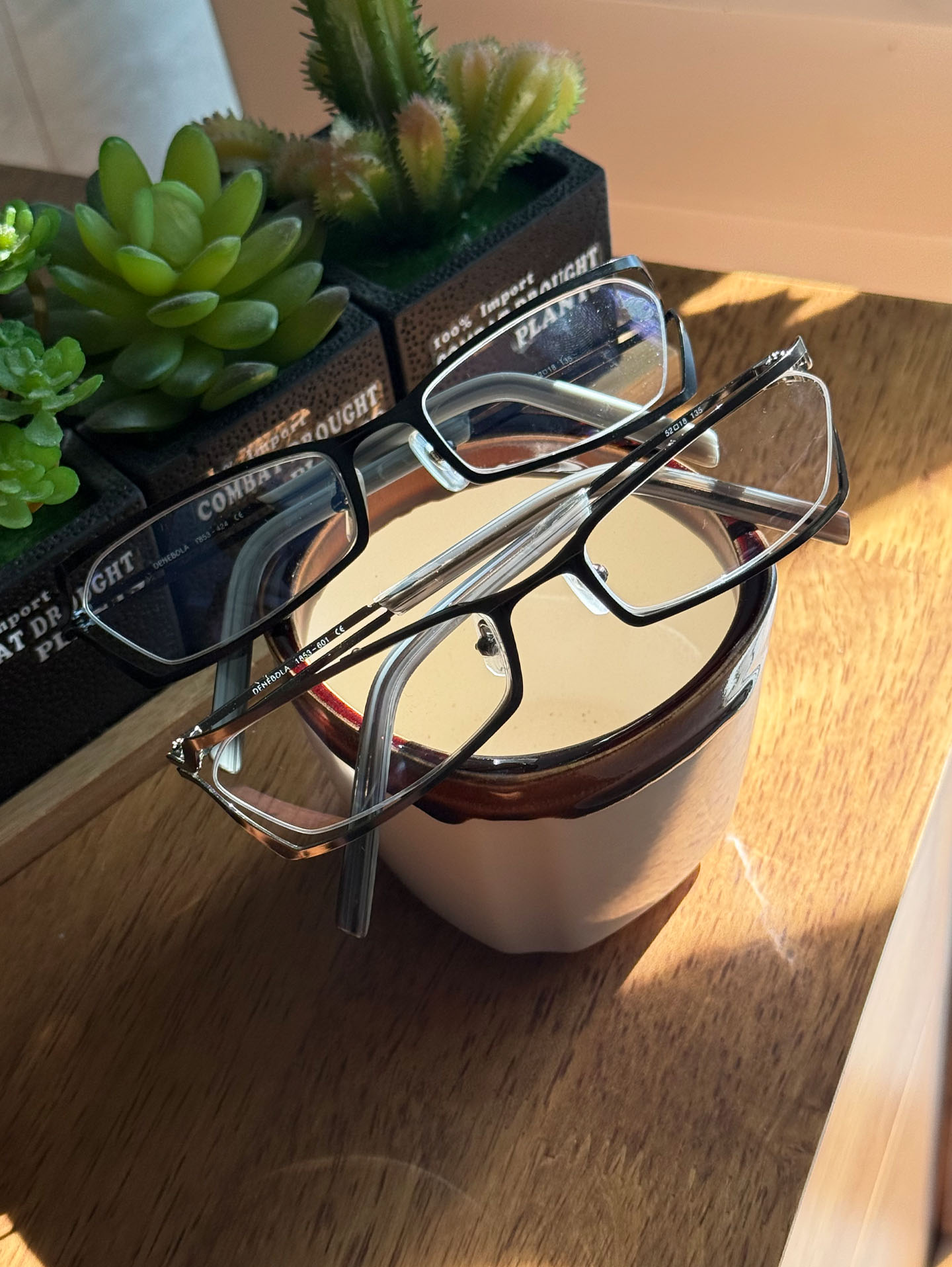 DENEBOLA Black & Silver Geometric Rectangular Glasses Collection / 2 Colors