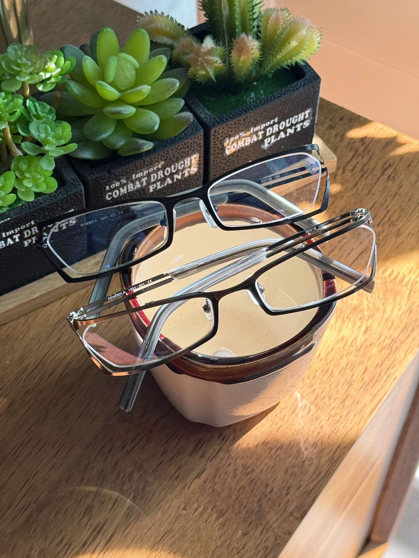 DENEBOLA Black & Silver Geometric Rectangular Glasses Collection / 2 Colors