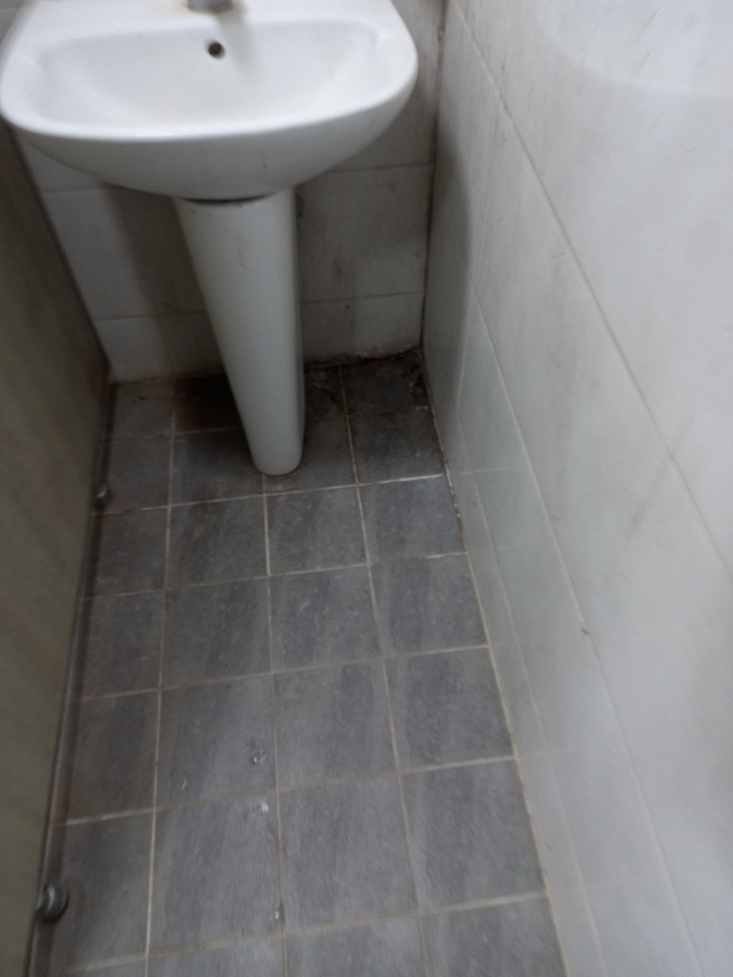 1ceb6dc6648d2.jpg