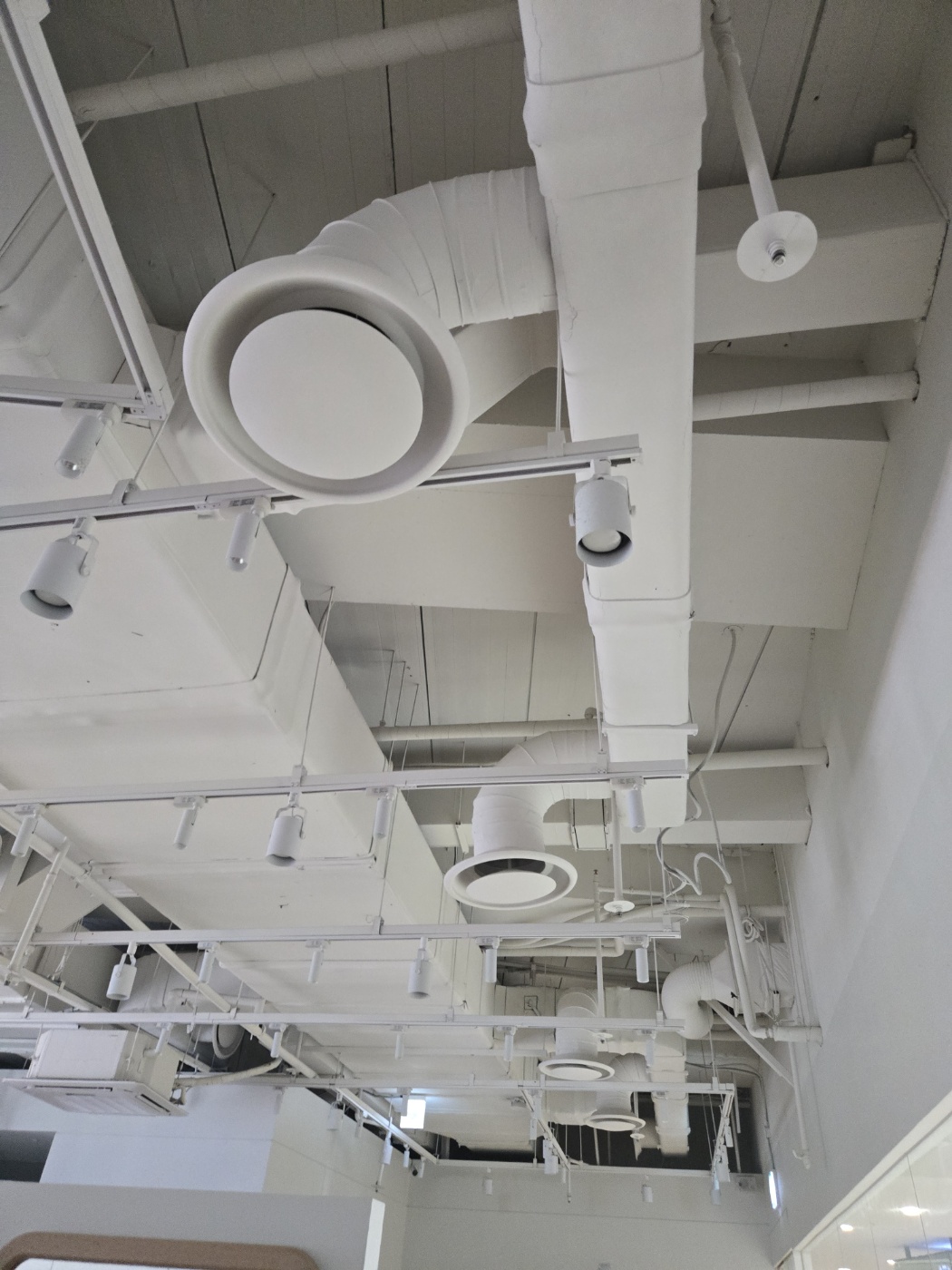 42c407ff50949.jpg