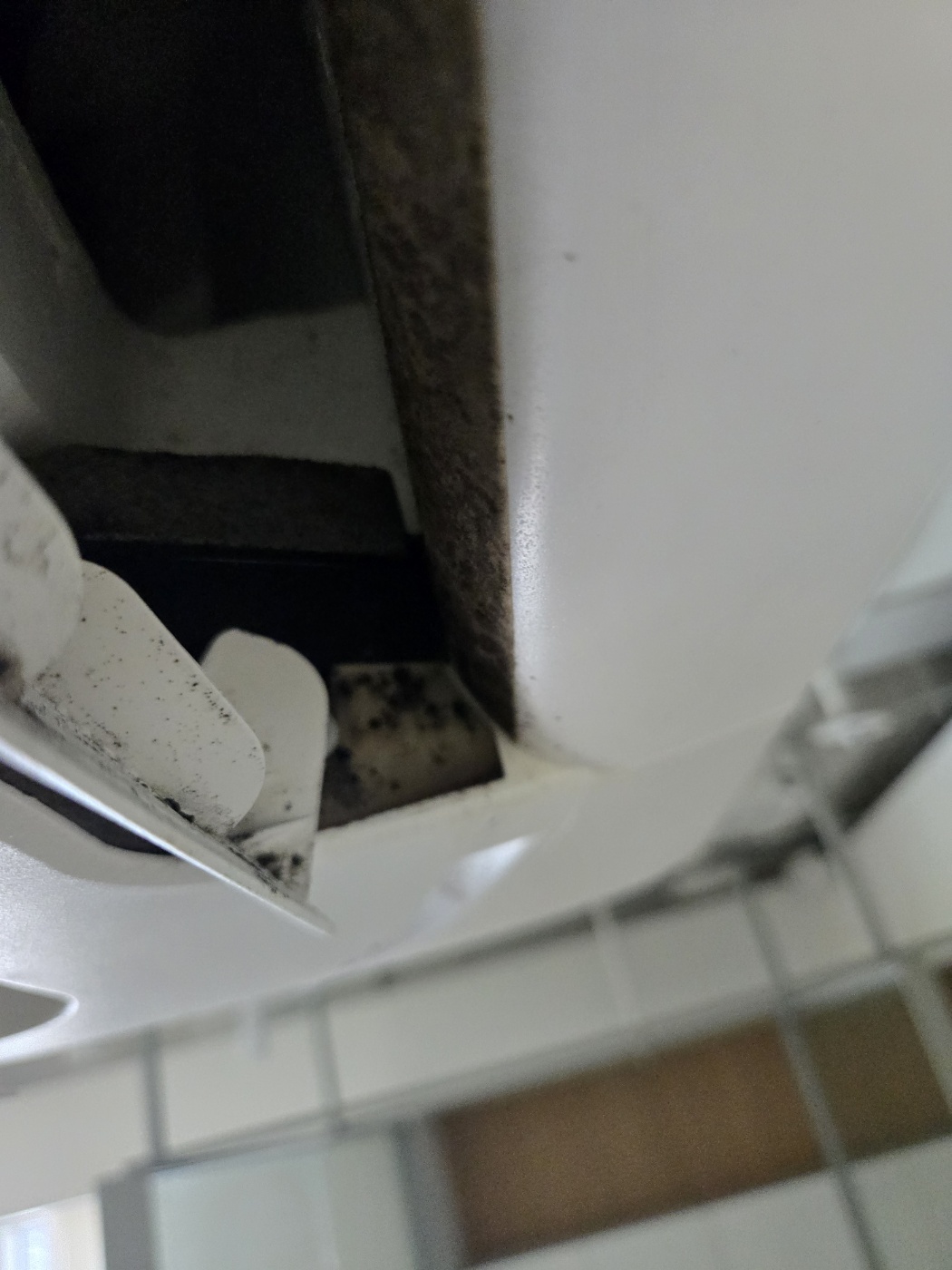 6c3afc734552c.jpg