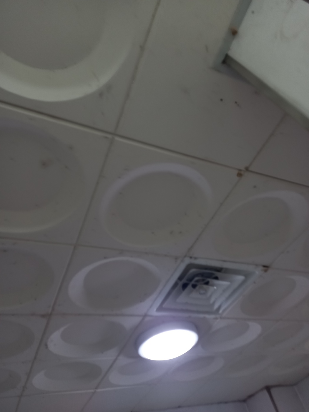 cbf3443e5690b.jpg
