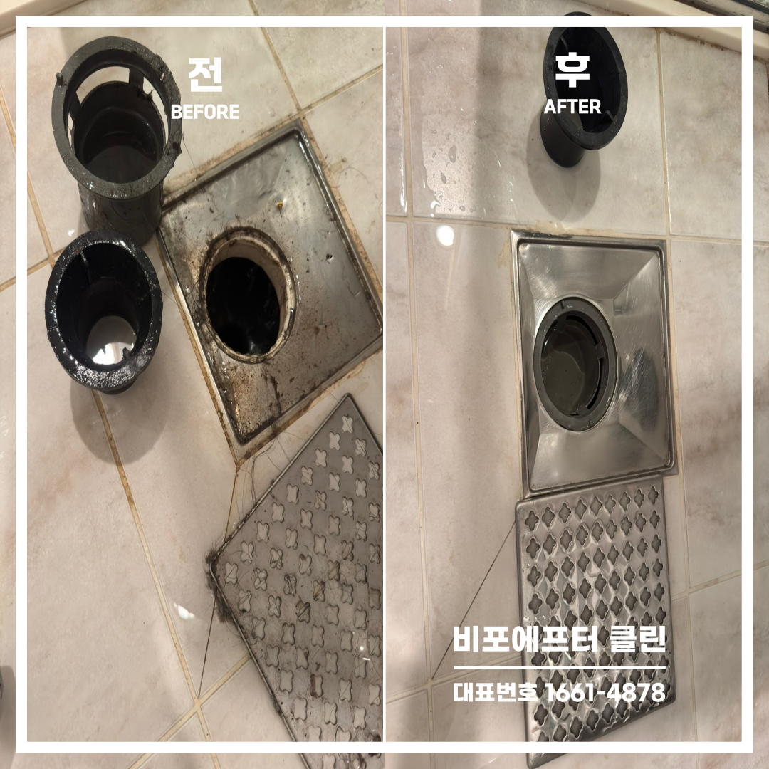 d7747064440cf.png