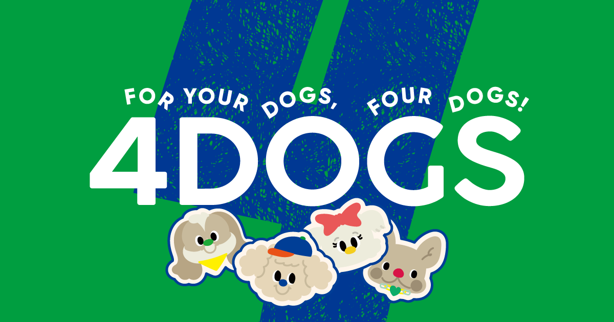 포독스 4DOGS