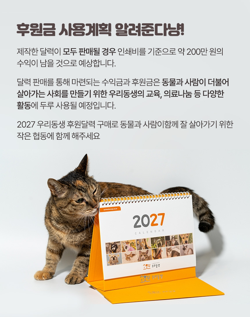 53813cf10a879.png