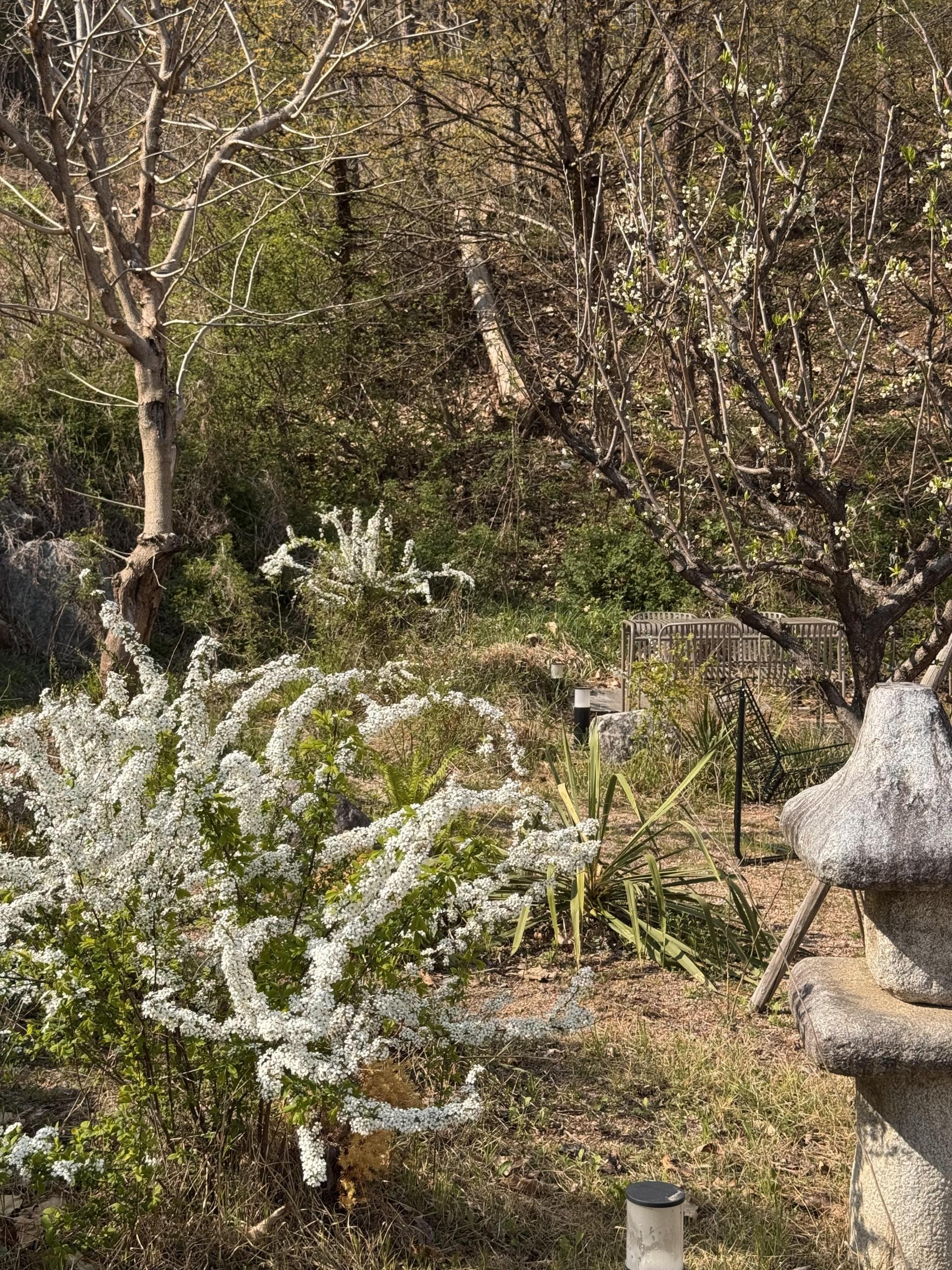 80c173c0e13ef.jpeg
