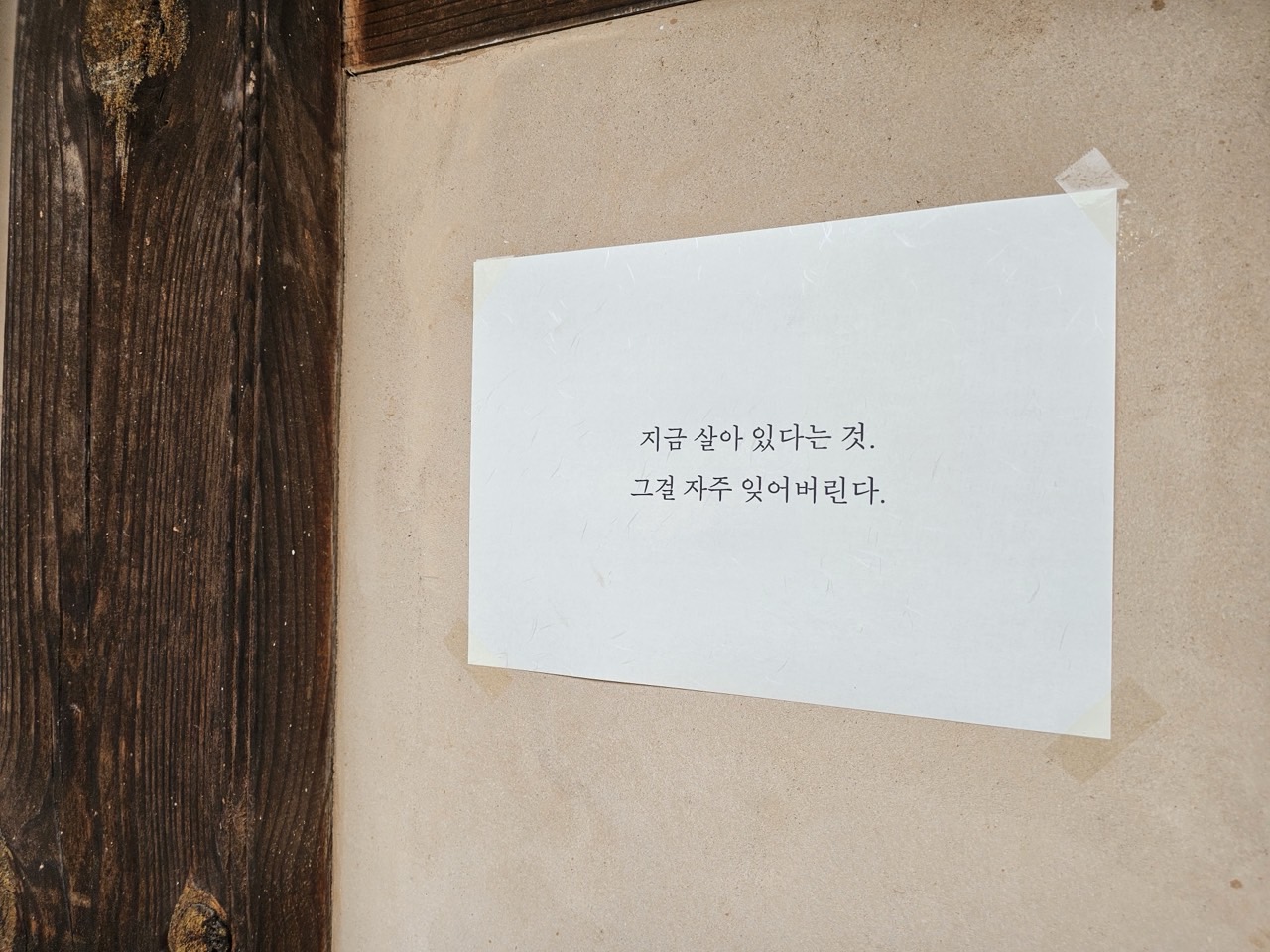 8334733ed73bd.jpg
