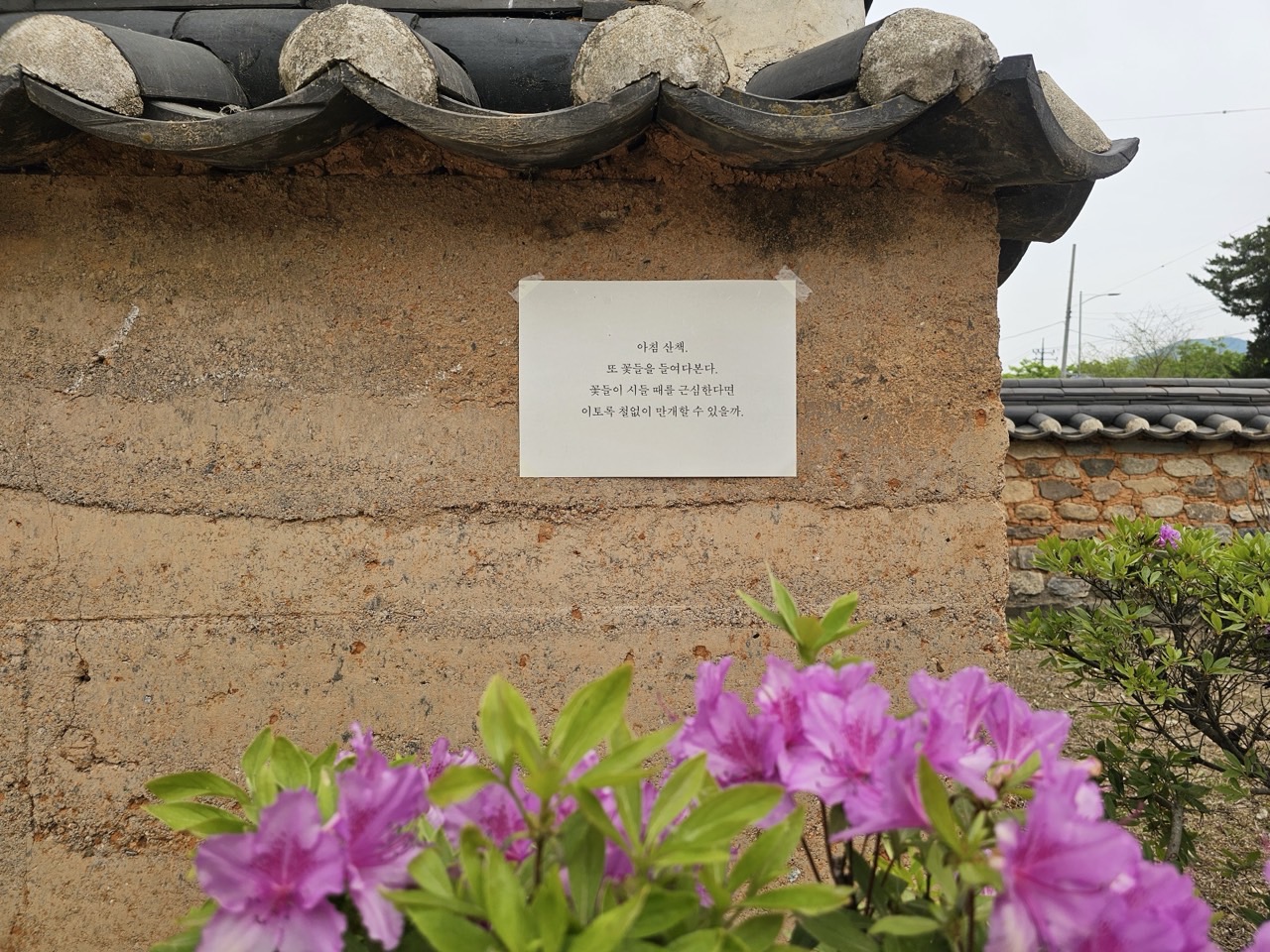 f60e14377d0bb.jpg