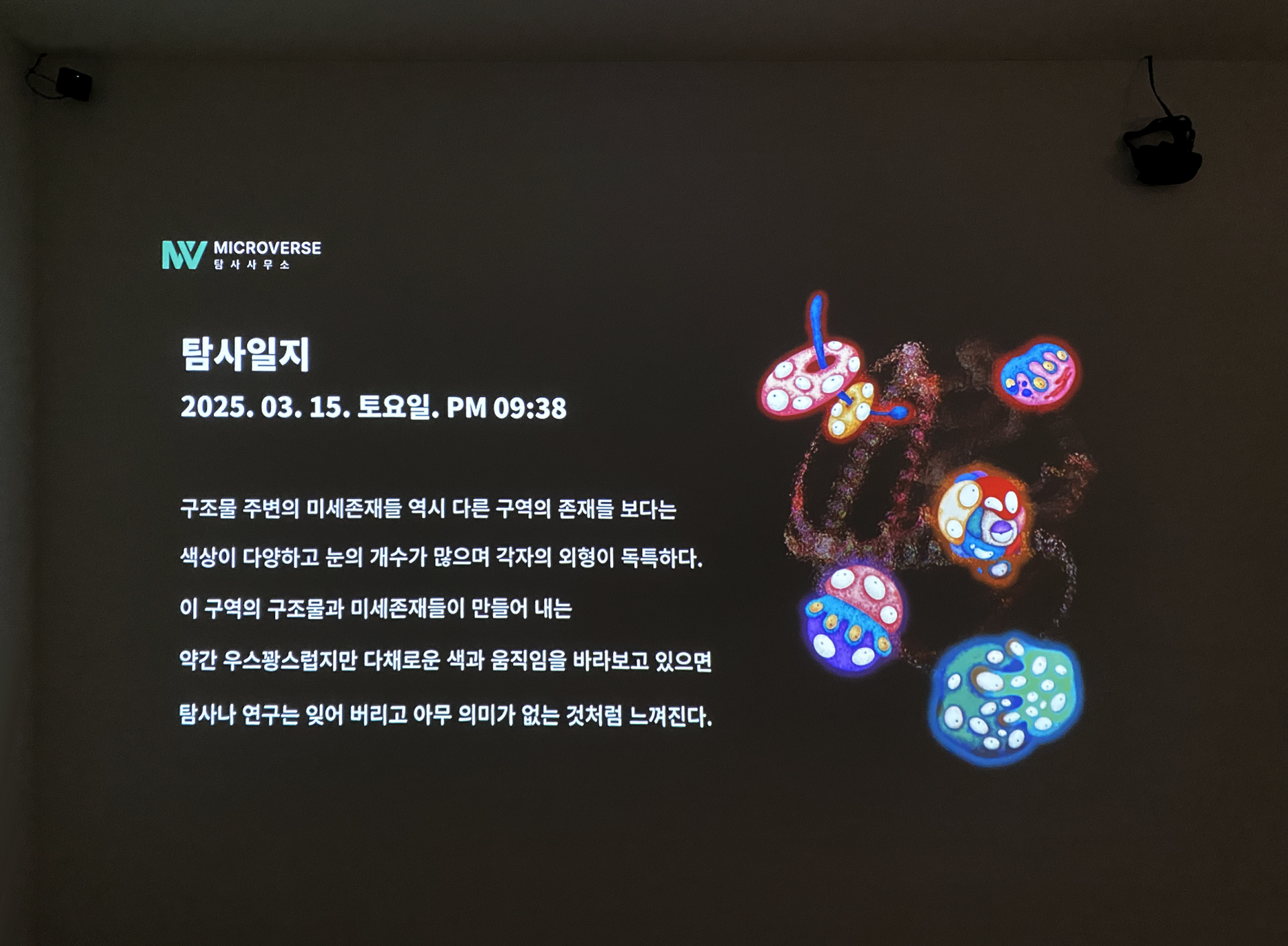 772b6d564610a.png