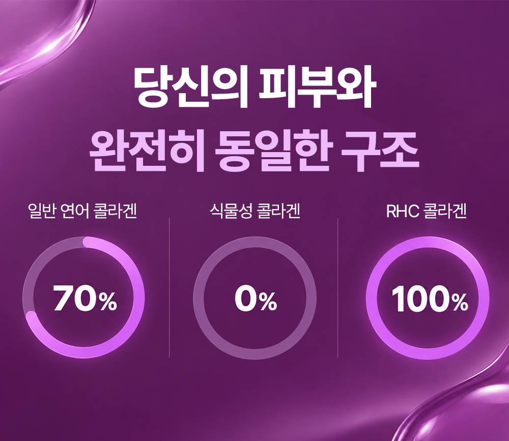 28일 콜라겐복원프로그램