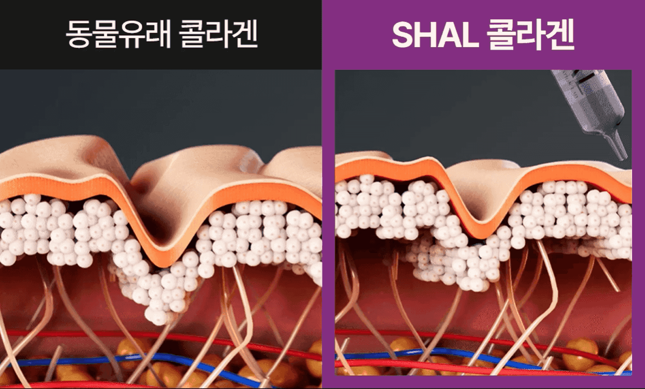 7일 긴급복구솔루션