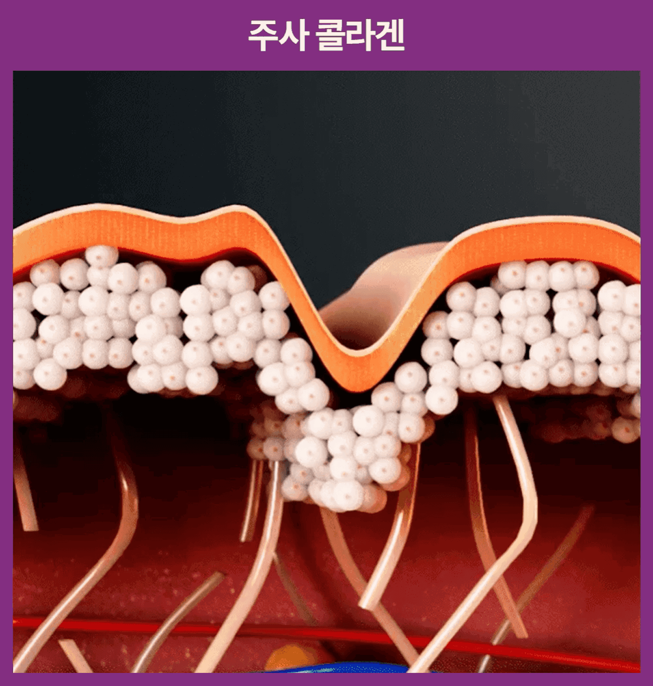 SHAL 콜라겐부스터 SET (첫구매전용)