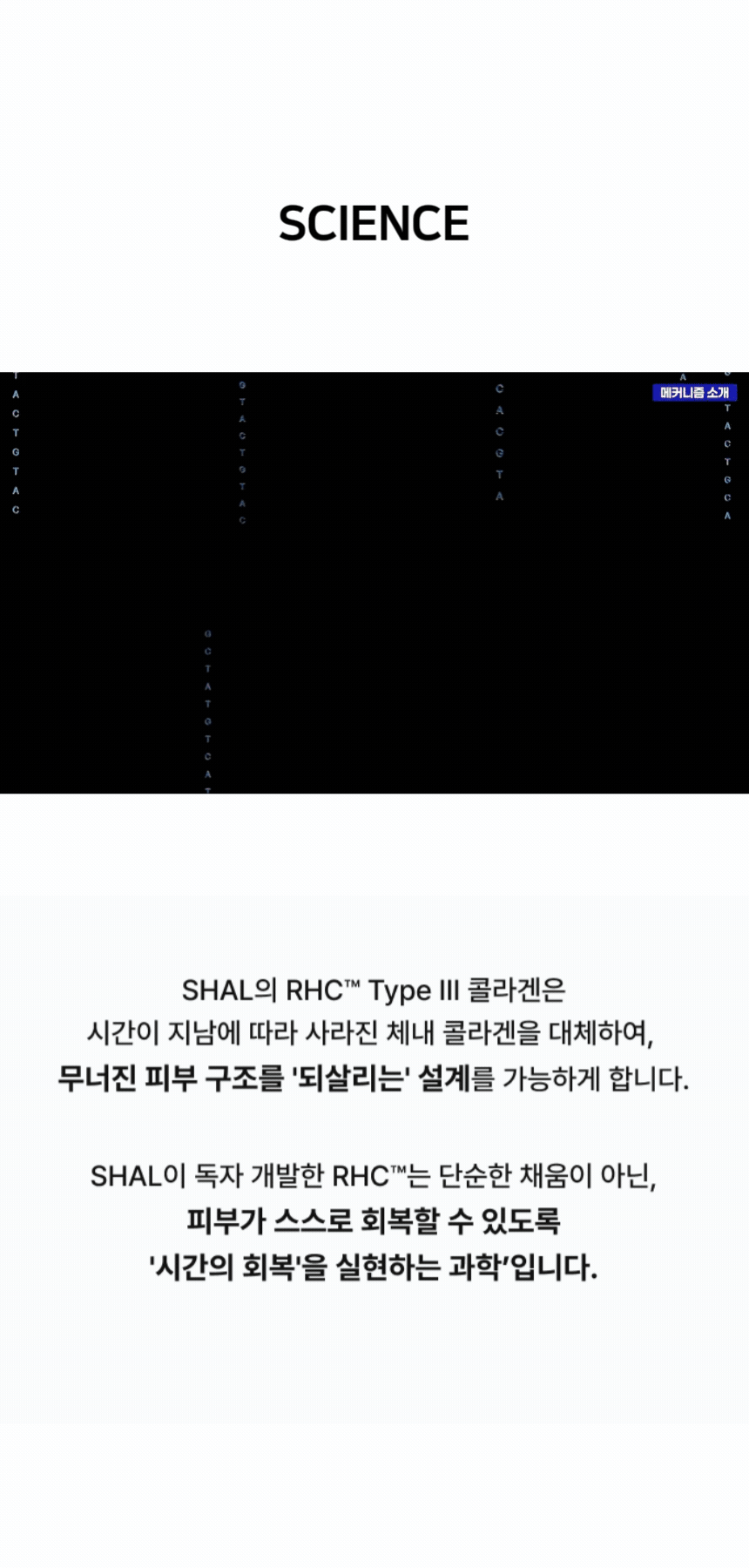 7일 콜라겐레스큐7솔루션