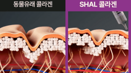 SHAL 콜라겐부스터 SET (첫구매전용)