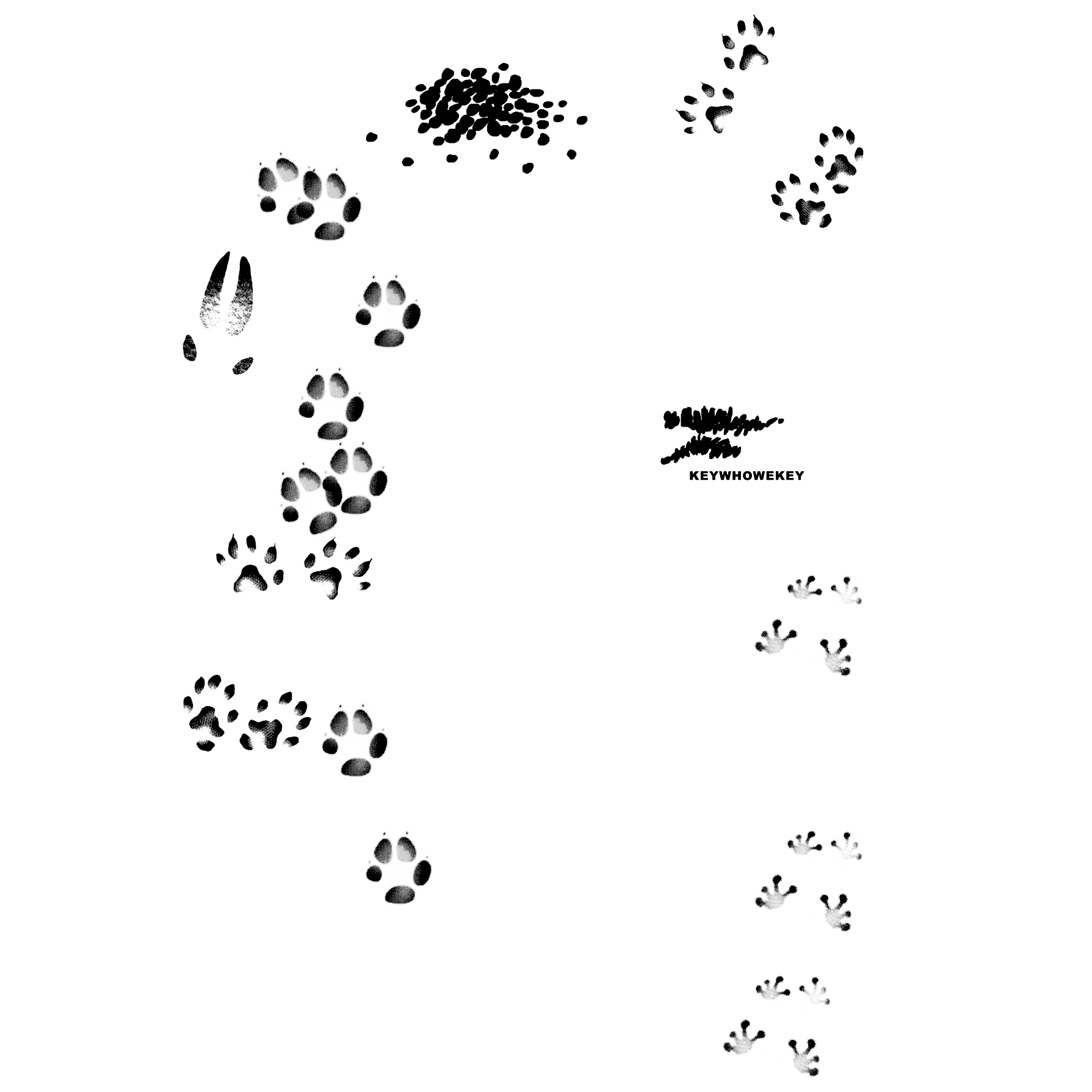 2b81f00b7840b.jpg