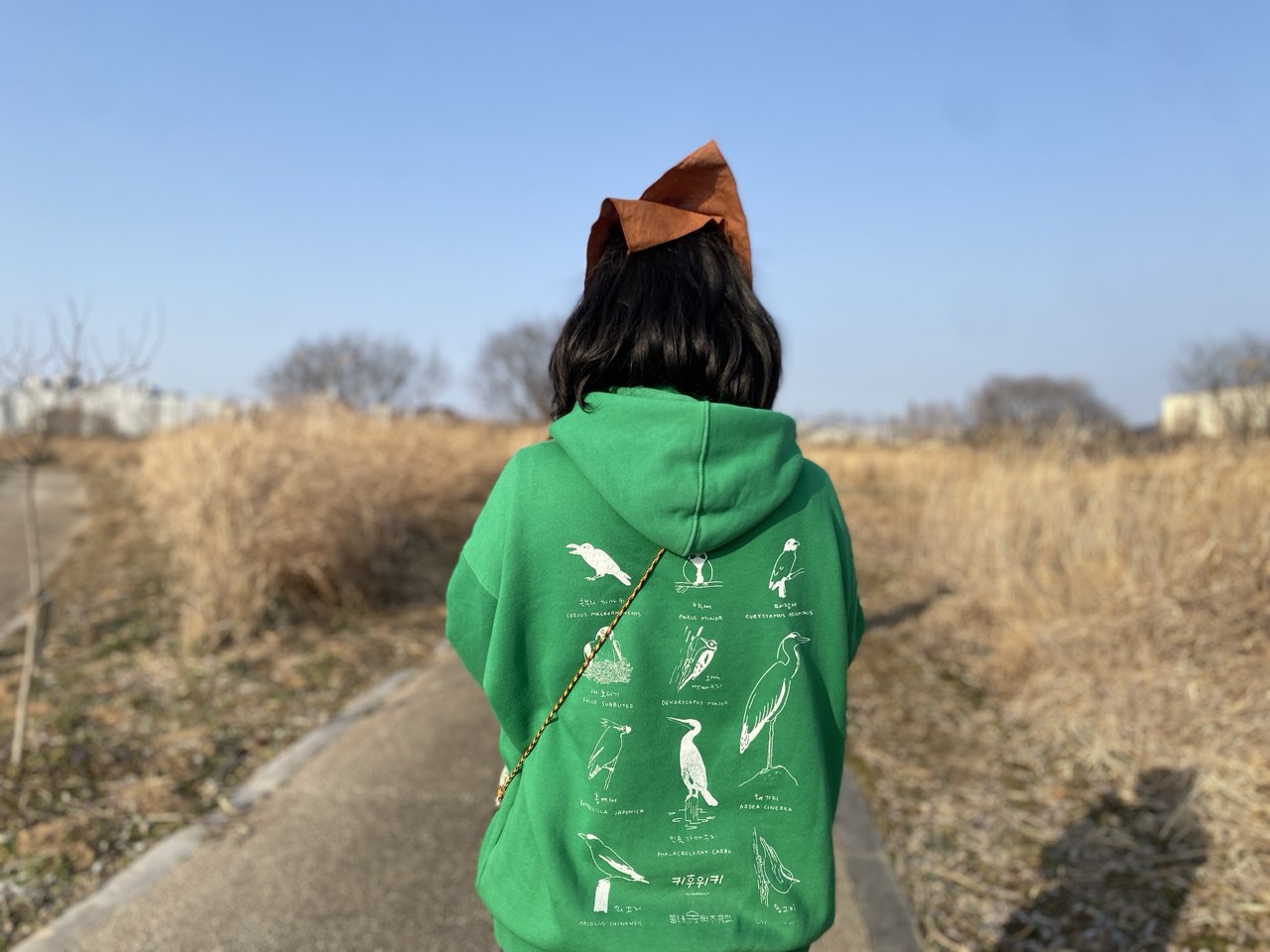 c8a8343684b67.jpg