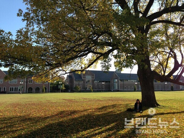 나무 아래 앉아있는 송은지