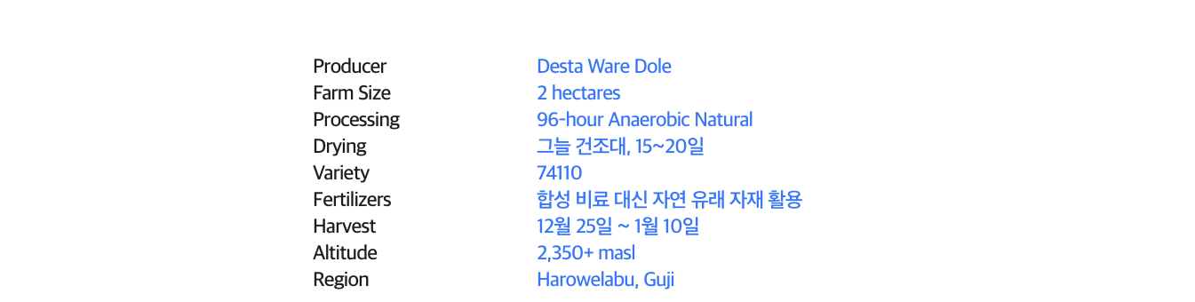 에티오피아 데스타 웨어 250G