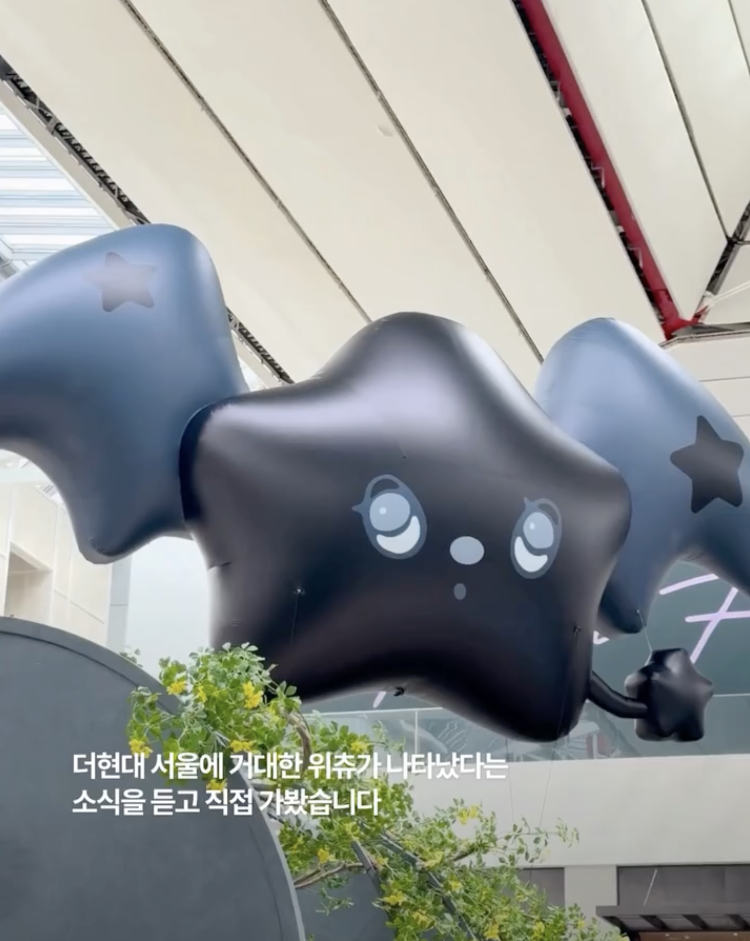 0ae2361d27464.png