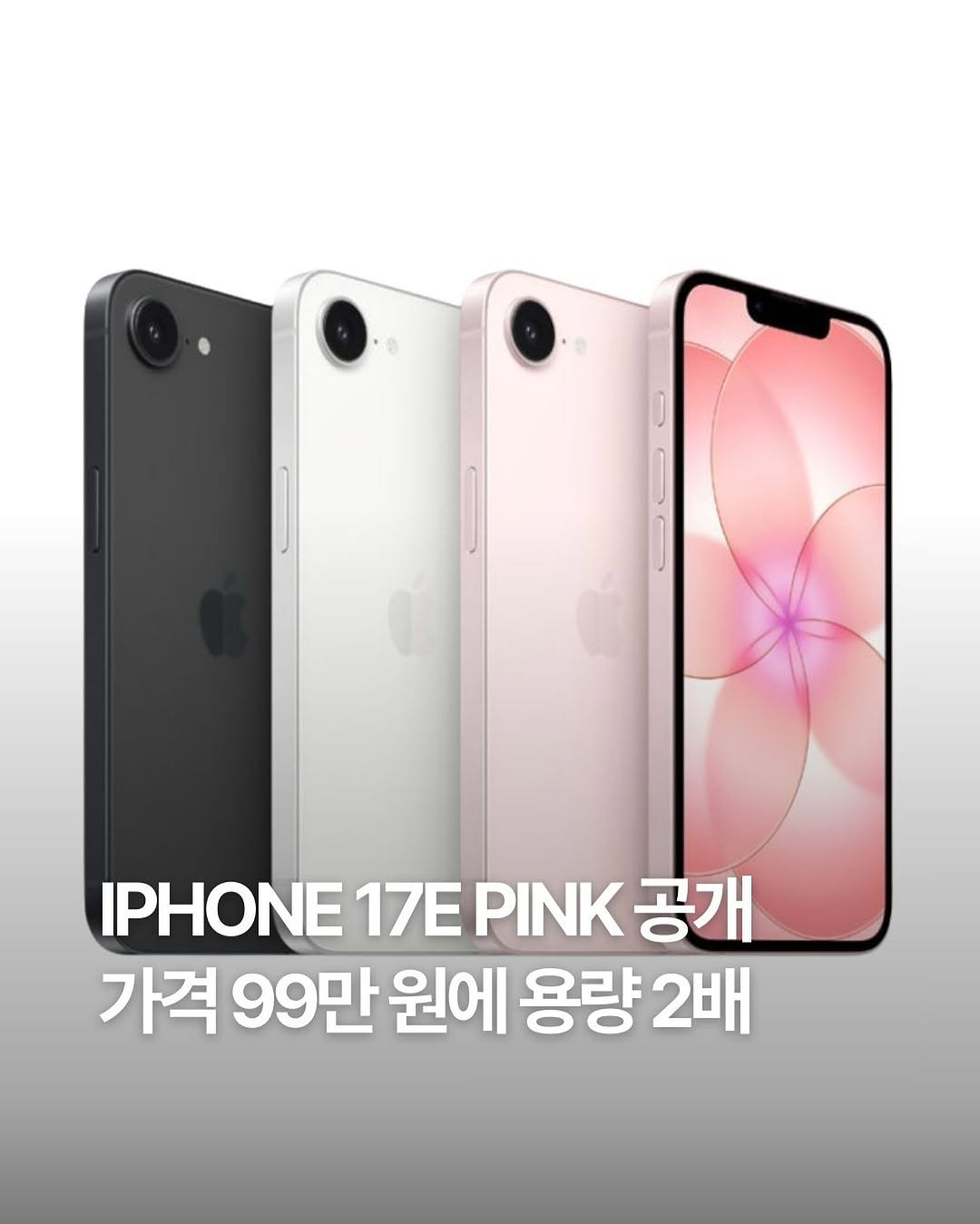 Apple, 보급형 iPhone 17e 핑크 출시 📱 : 데패뉴 | 뉴스