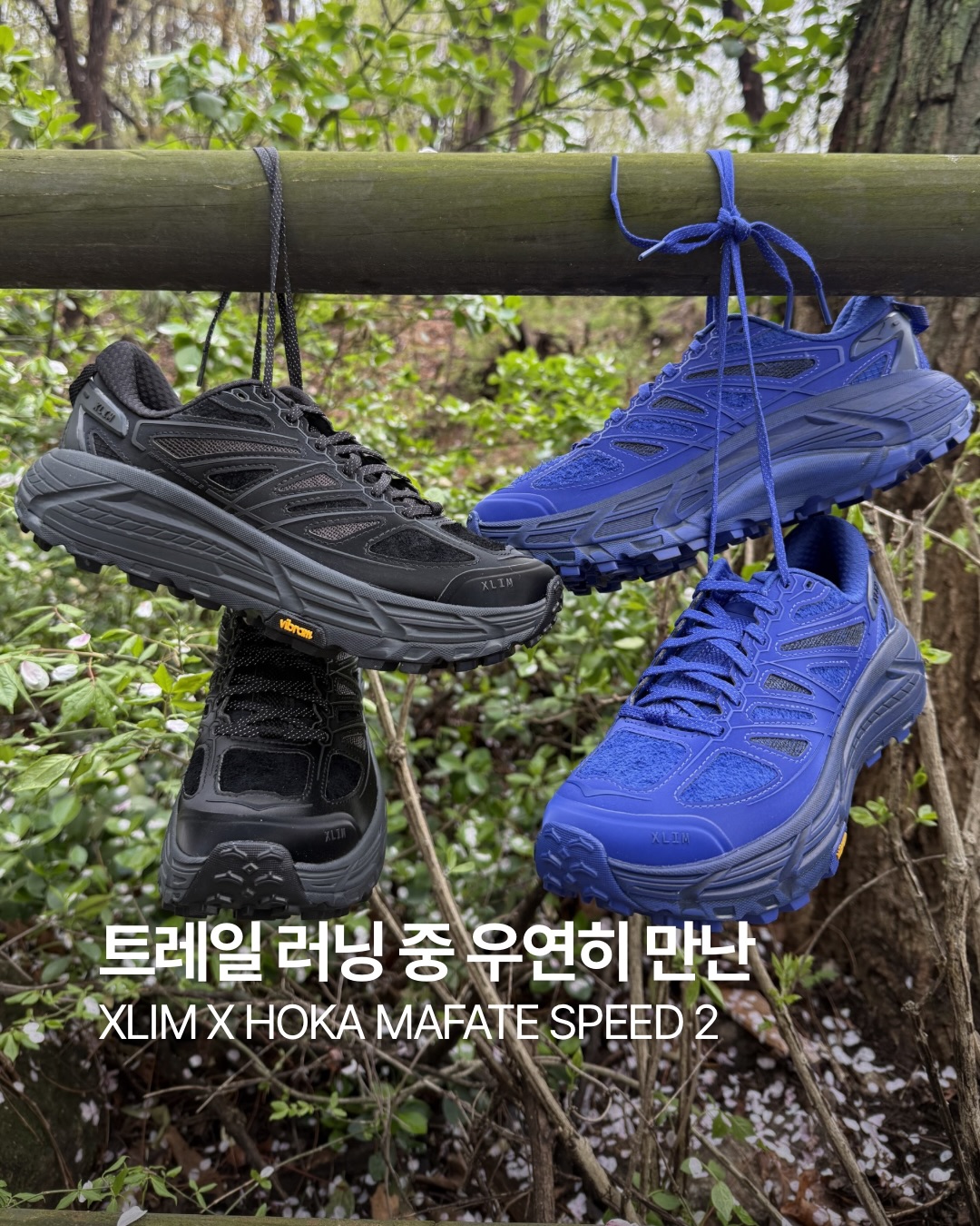 9a5520883838f.jpg