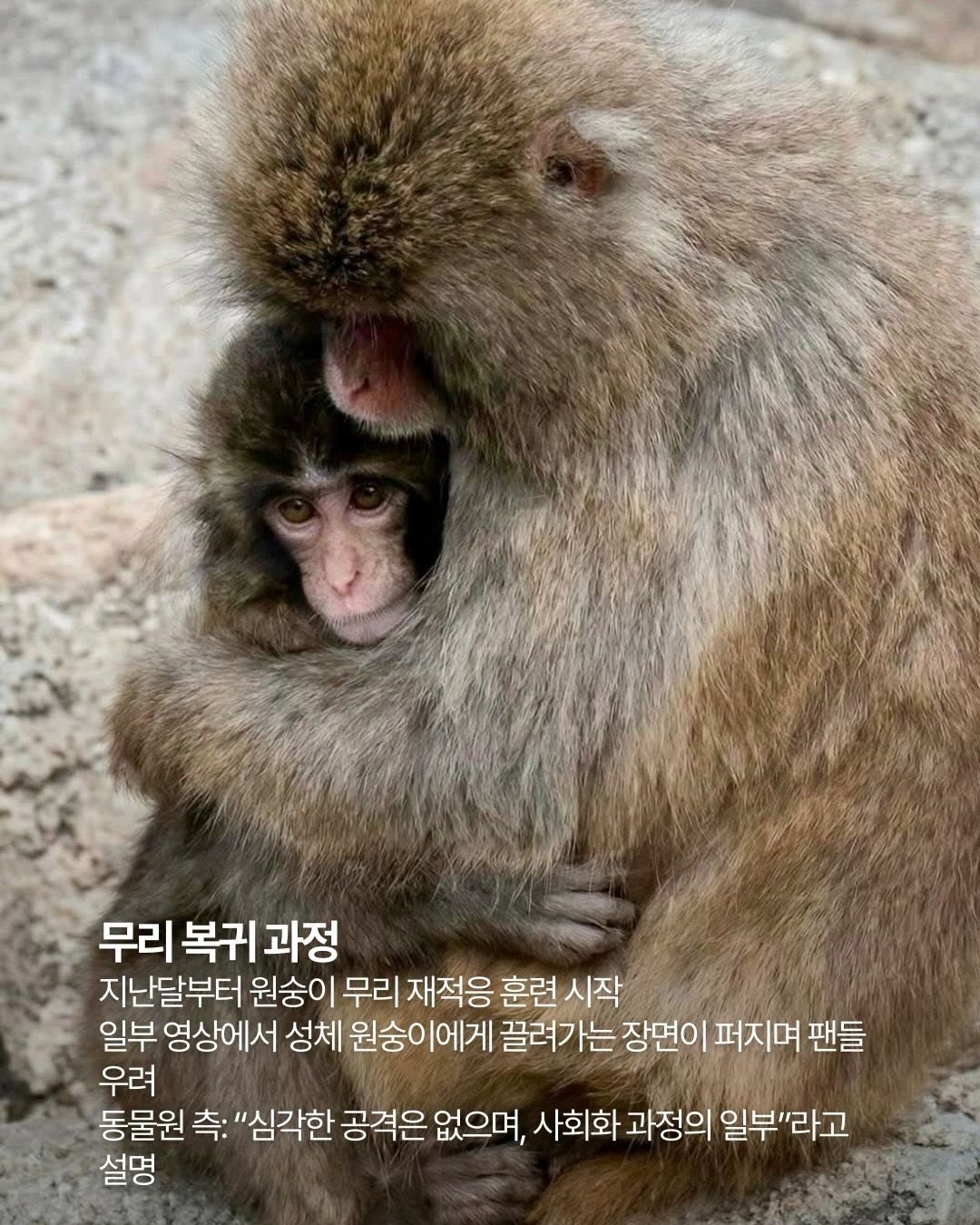a6583dd09c28b.jpg