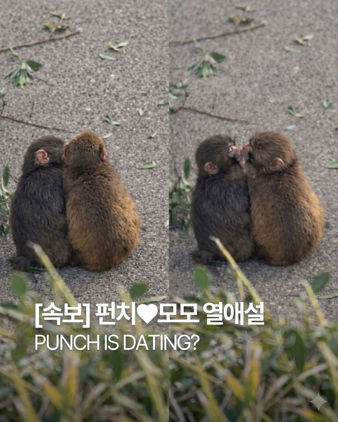 a719ca90668d9.jpg