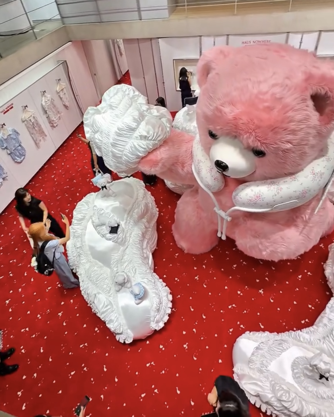 d09426212ee88.jpg
