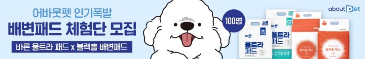 cbde89deed79d.png