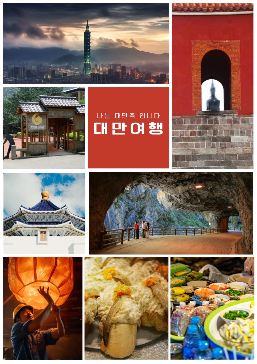타이페이IN 가오슝OUT 노쇼핑 101타워 야시장 아리산 두지역관광