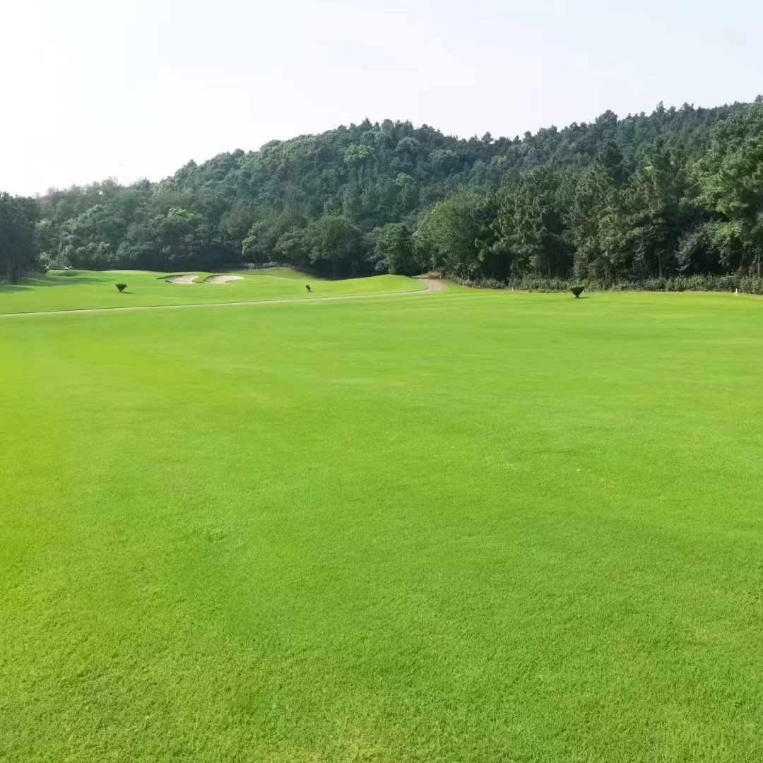 남경 골프 난징 태양도CC 고품격 편리한이동 가성비
