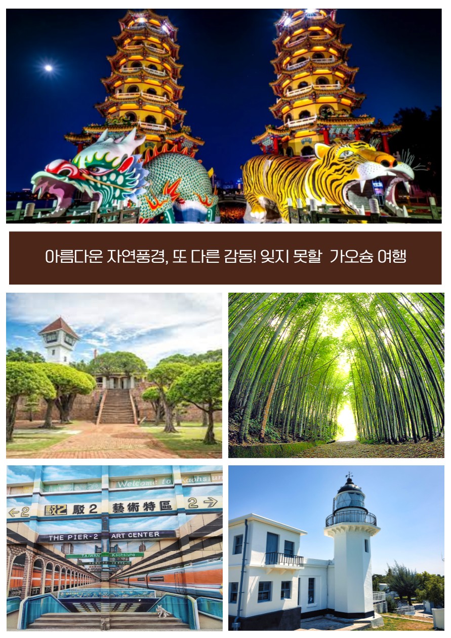 타이페이IN 가오슝OUT 노쇼핑 101타워 야시장 아리산 두지역관광